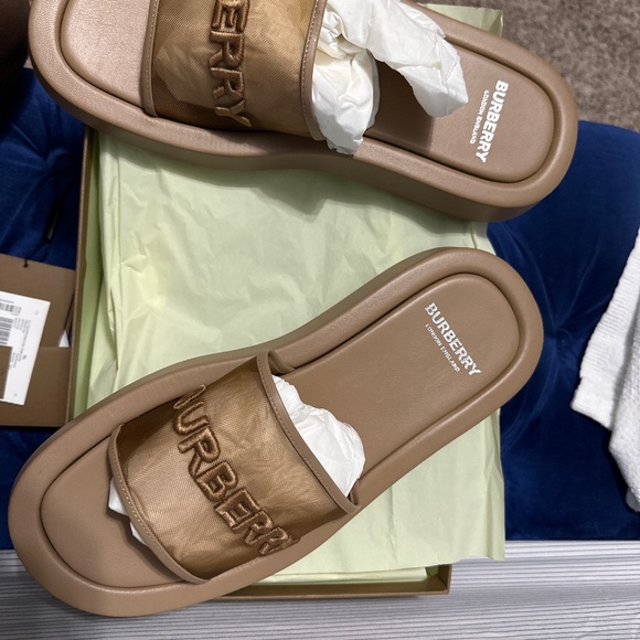Buckingham slides - Picture 1 of 4